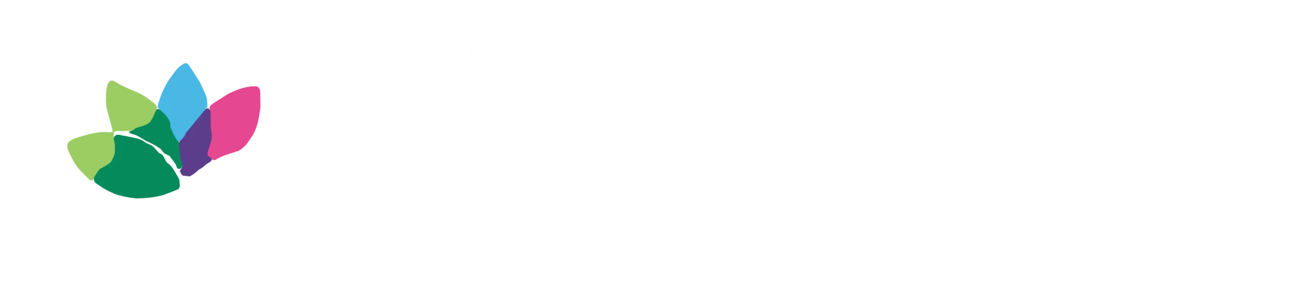 Anazwina Maroc — logo officiel