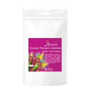 SYNERGIE ANTICHUTE AYURVEDIQUE