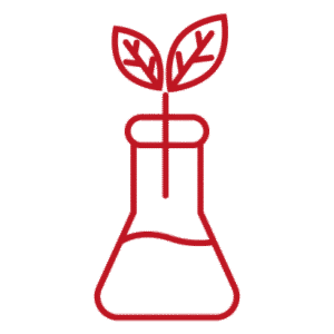 sans metaux lourds, sans amoniaque, sans produits chimiques anazwina